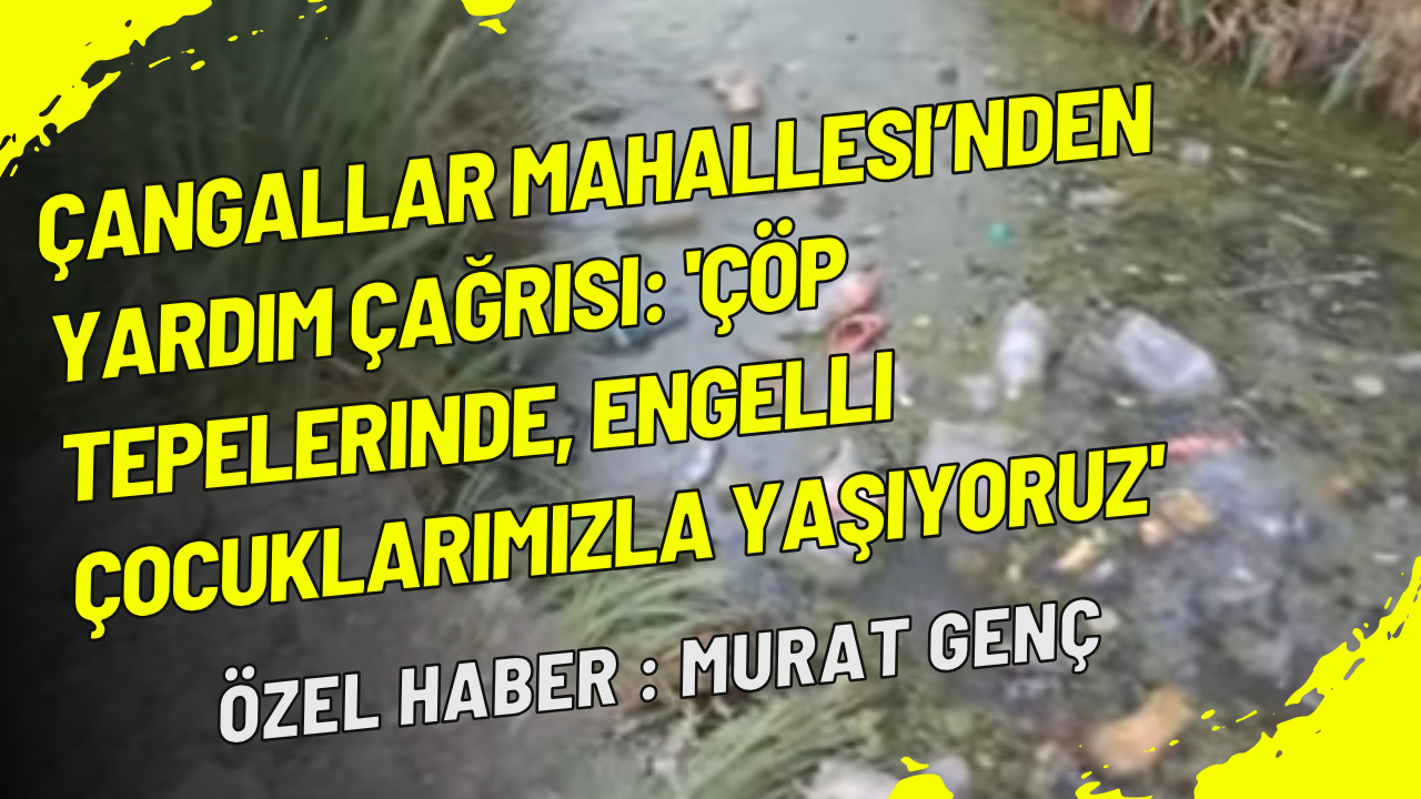 Çangallar Mahallesi’nden yardım çağrısı: 'Çöp tepelerinde, engelli çocuklarımızla yaşıyoruz