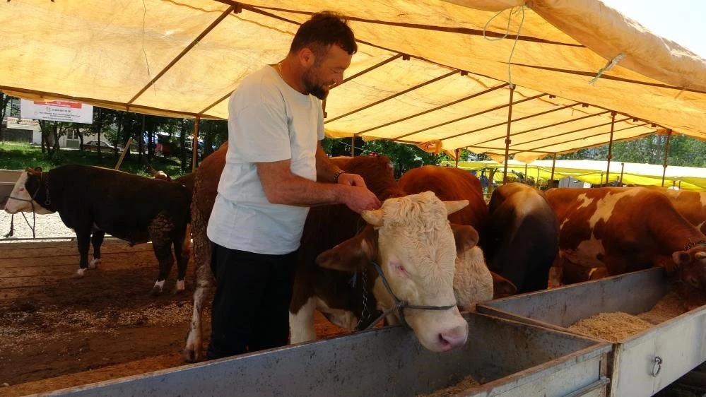Şap Hastalığına Karşı Acil Önlem: Hayvan Satış Yerleri Geçici Olarak Kapatıldı
