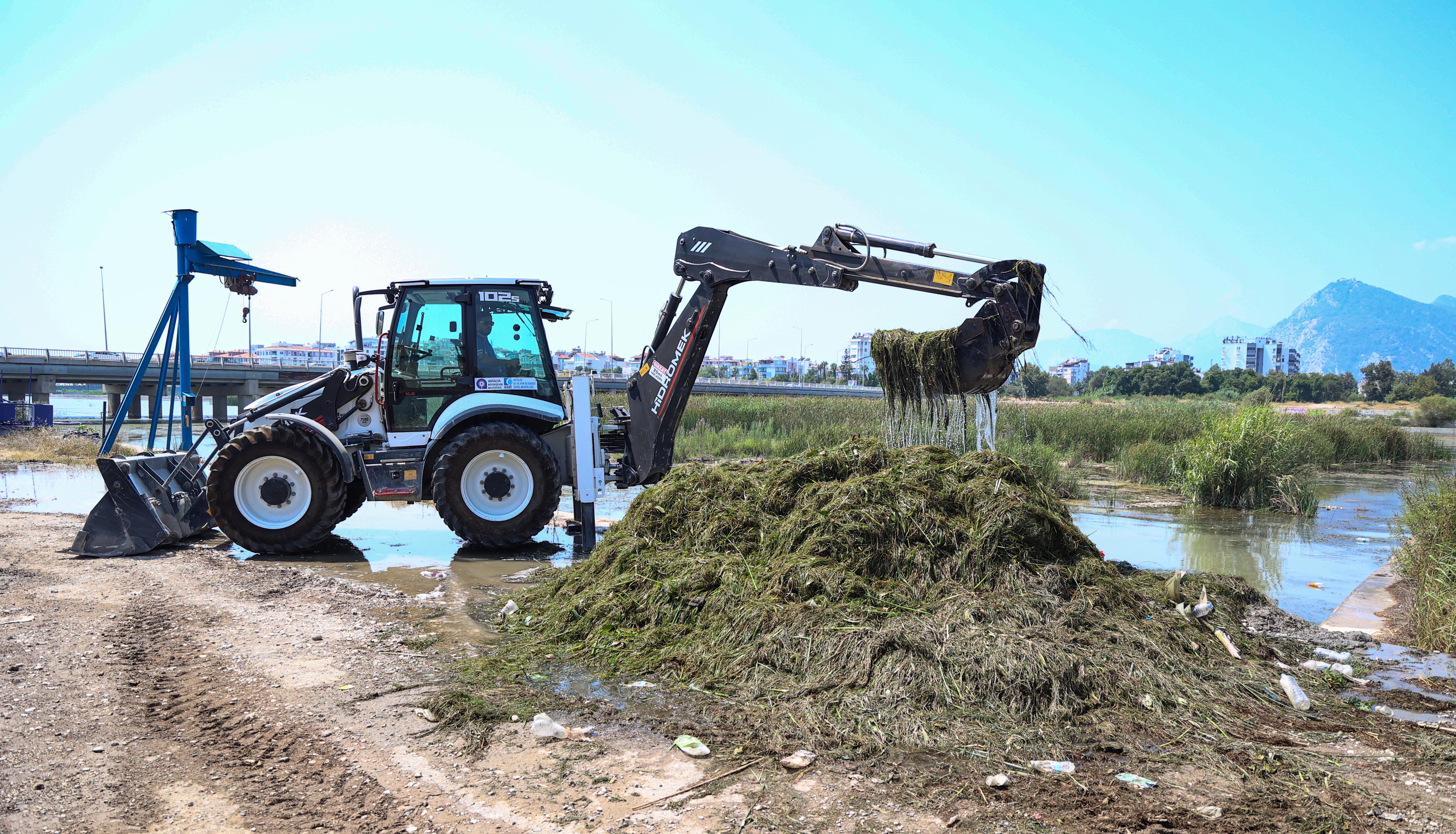 Boğaçayı’nda her gün 6 ile 8 ton arası sucul ot toplanıyor