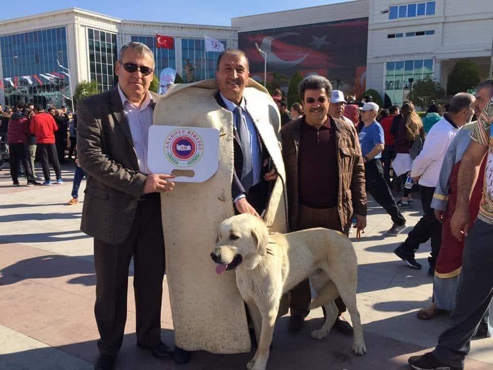 ABP Genel Başkanı Bedri Yalçın’dan 10 Aralık İnsan Hakları Günü Mesajı: “İnsan Hakları Lafla Değil, İradeyle Korunur”
