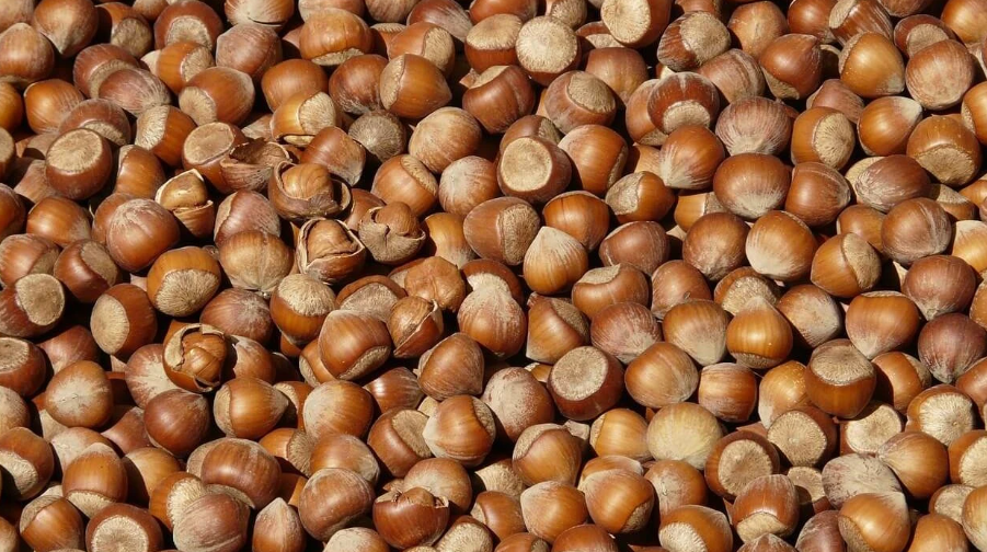 Doğu Karadeniz’in ocak ayı ihracatı 125,5 milyon doları geçti