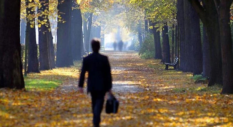 Tek kişilik hane sayısı 10 yılda yüzde 66 arttı