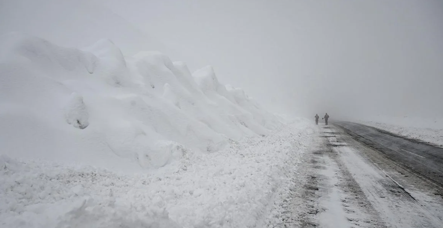 Ardahan’da çığ felaketi: İş makineleri kar altında
