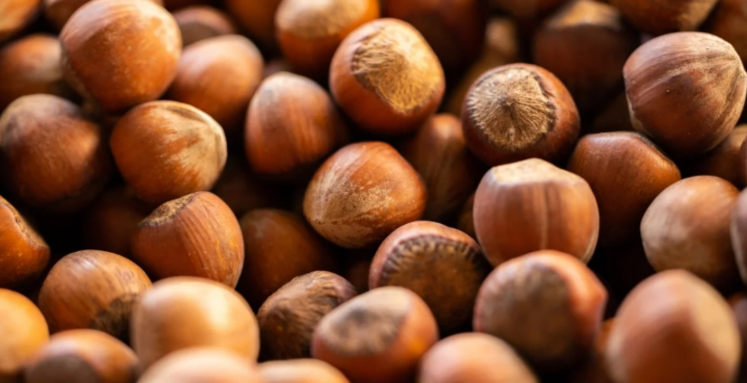 Fındık ihracatında 6 aylık gelir 1,17 milyar doları aştı