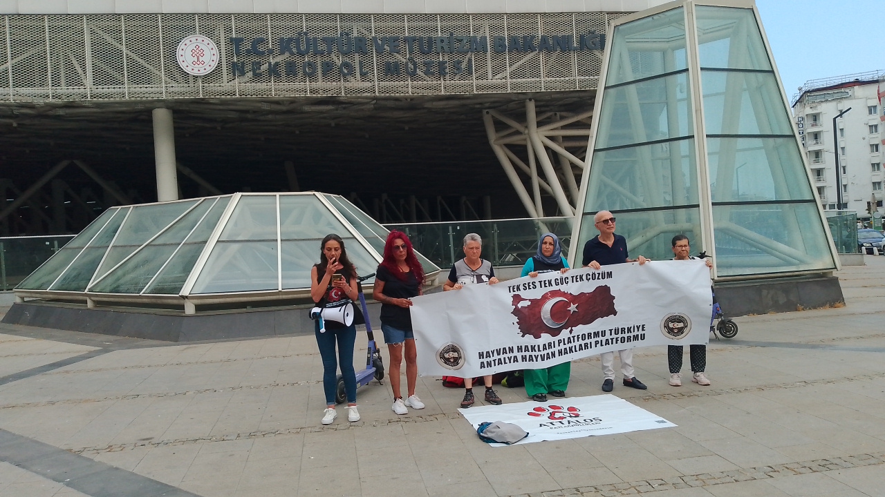 ANTALYA NEKROPOL MÜZESİ ÖNÜNDEKİ NÖBET 20. GÜNÜNDE: “BU UTANÇ SONA ERENE KADAR BURADAYIZ”