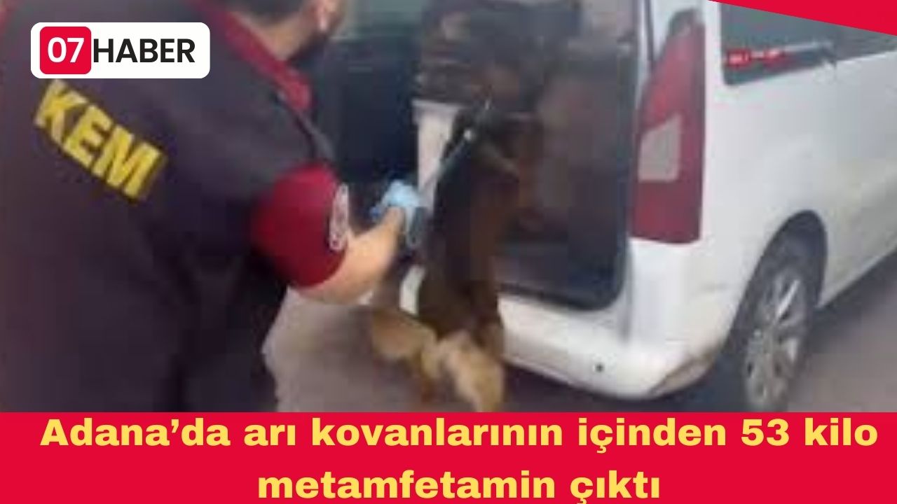 Adana’da arı kovanlarının içinden 53 kilo metamfetamin çıktı