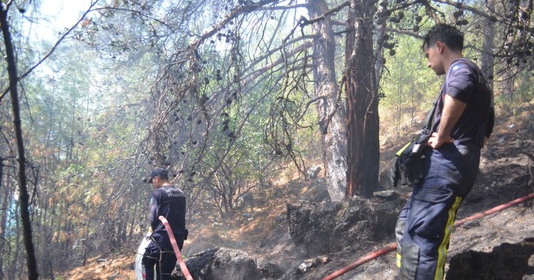 Alanya Kalesi'nin çamlık ormanlık alanda bilinmeyen nedenden dolayı yangın çıktı.