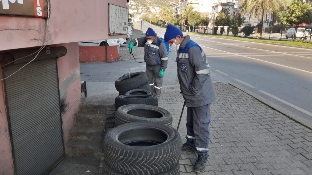 Antalya Büyükşehir Belediyesi sinekle mücadelesini sürdürüyor