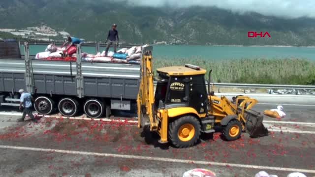 Antalya'da Biber yüklü TIR devrildi