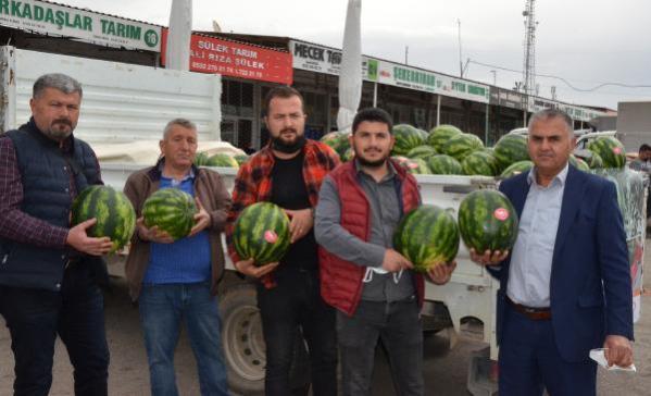 Antalya'da mevsimin ilk karpuzun kilosu 7 lira