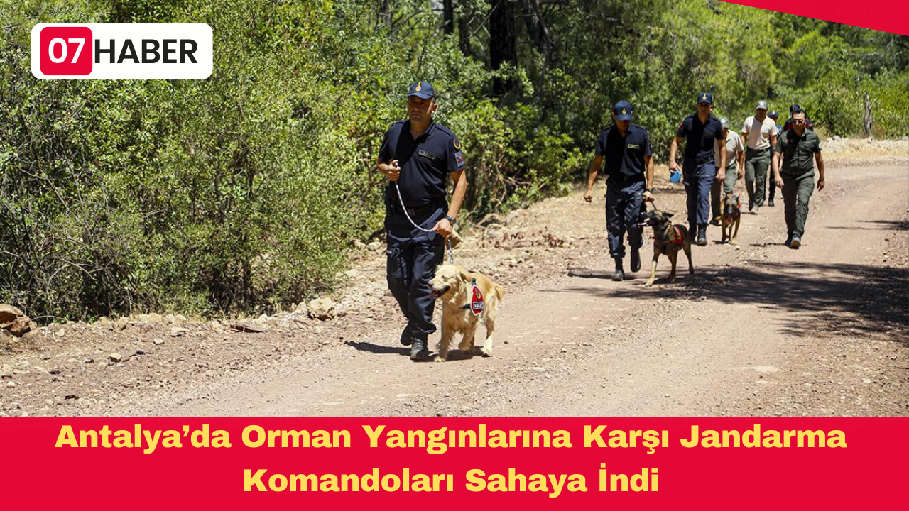 Antalya’da Orman Yangınlarına Karşı Jandarma Komandoları Sahaya İndi