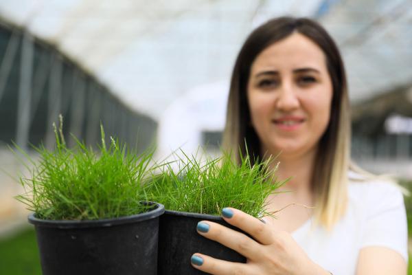 Antalya’da park, bahçe ve refüjlerinde kullanılan çimler, kuraklığa dayanıklı hale getirildi