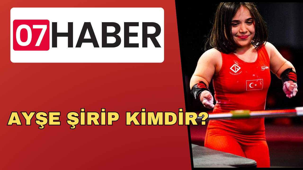 AYŞE ŞİRİP KİMDİR?