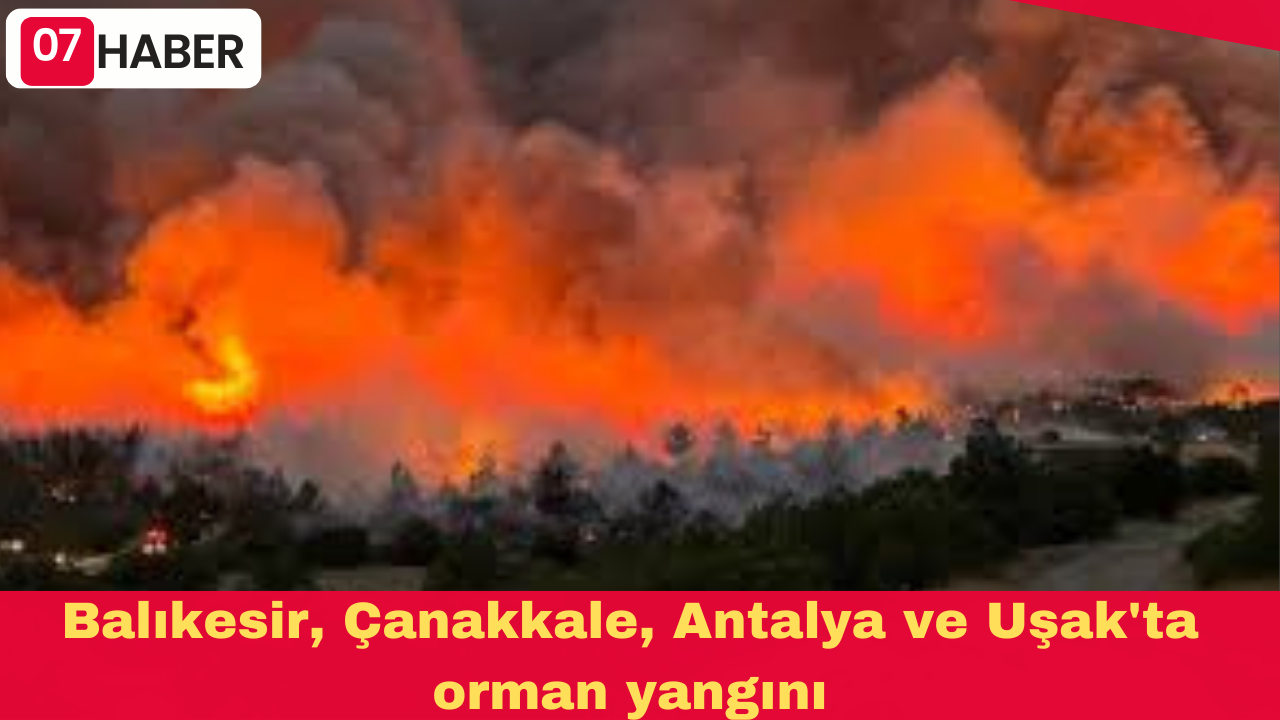 Balıkesir, Çanakkale, Antalya ve Uşak'ta orman yangını