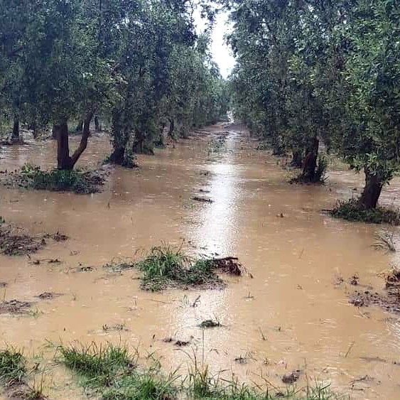 BURSA'DA ARAZİLERİ SU BASTI DSİ'YE TEPKİ YAĞDI