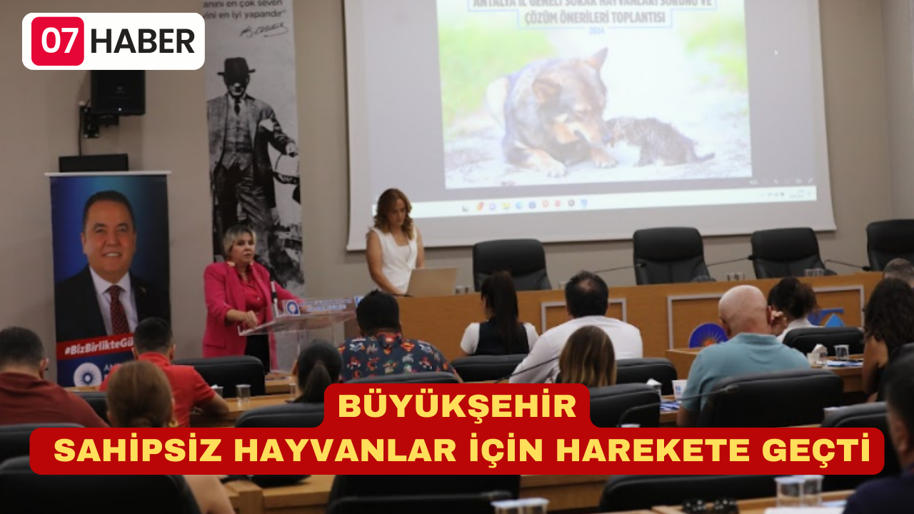 BÜYÜKŞEHİR SAHİPSİZ HAYVANLAR İÇİN HAREKETE GEÇTİ