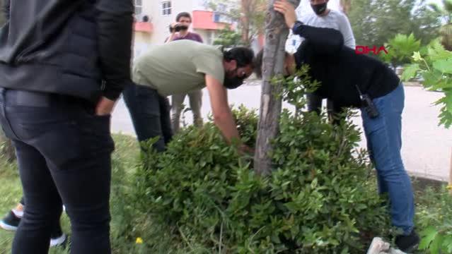 Çalınan 11 bin TL'lik telefonunu 'telefonumu bul' uygulaması ile çalılık içerisinde buldu