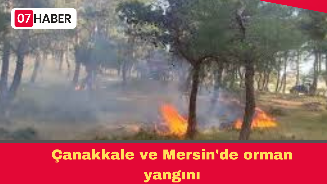 Çanakkale ve Mersin'de orman yangını