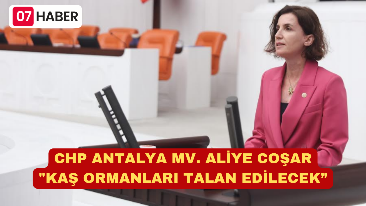 CHP ANTALYA MV. ALİYE COŞAR "KAŞ ORMANLARI TALAN EDİLECEK”