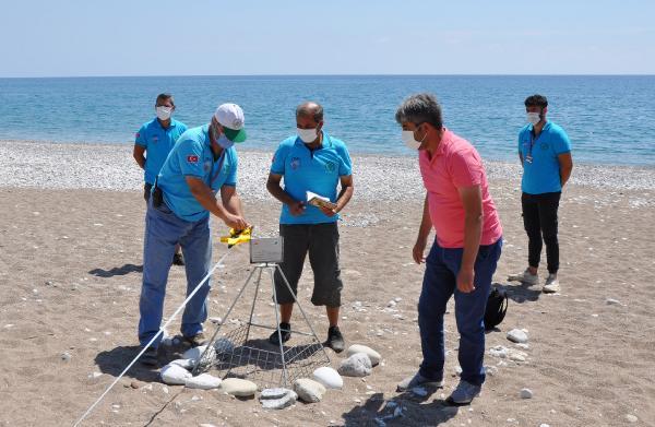 Çıralı sahilinde ilk caretta caretta yuvası tespit edildi.