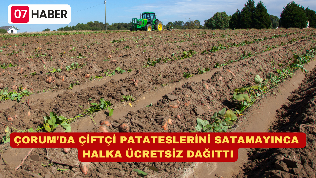 ÇORUM’DA ÇİFTÇİ PATATESLERİNİ SATAMAYINCA HALKA ÜCRETSİZ DAĞITTI