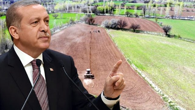 Cumhurbaşkanı Erdoğan'ın talimatıyla 7 ilde çiftçiye ücretsiz arazi verilecek