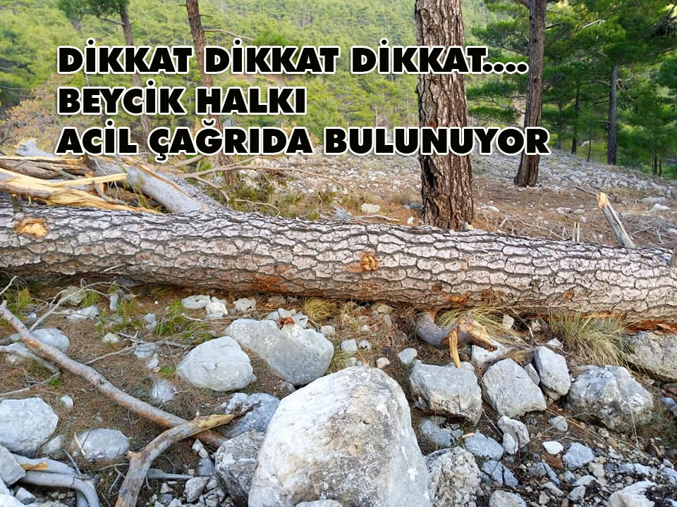 DİKKAT DİKKAT DİKKAT….BEYCİK HALKI ACİL ÇAĞRIDA BULUNUYOR