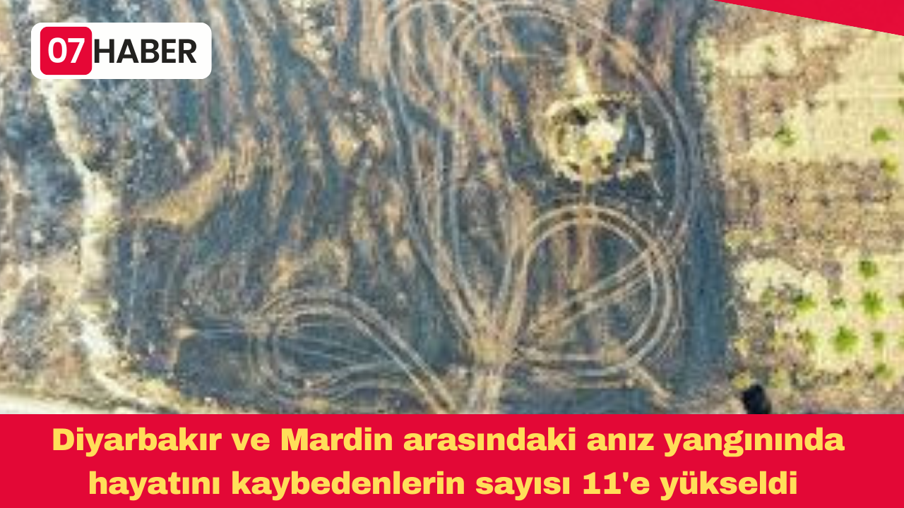 Diyarbakır ve Mardin arasındaki anız yangınında hayatını kaybedenlerin sayısı 11'e yükseldi