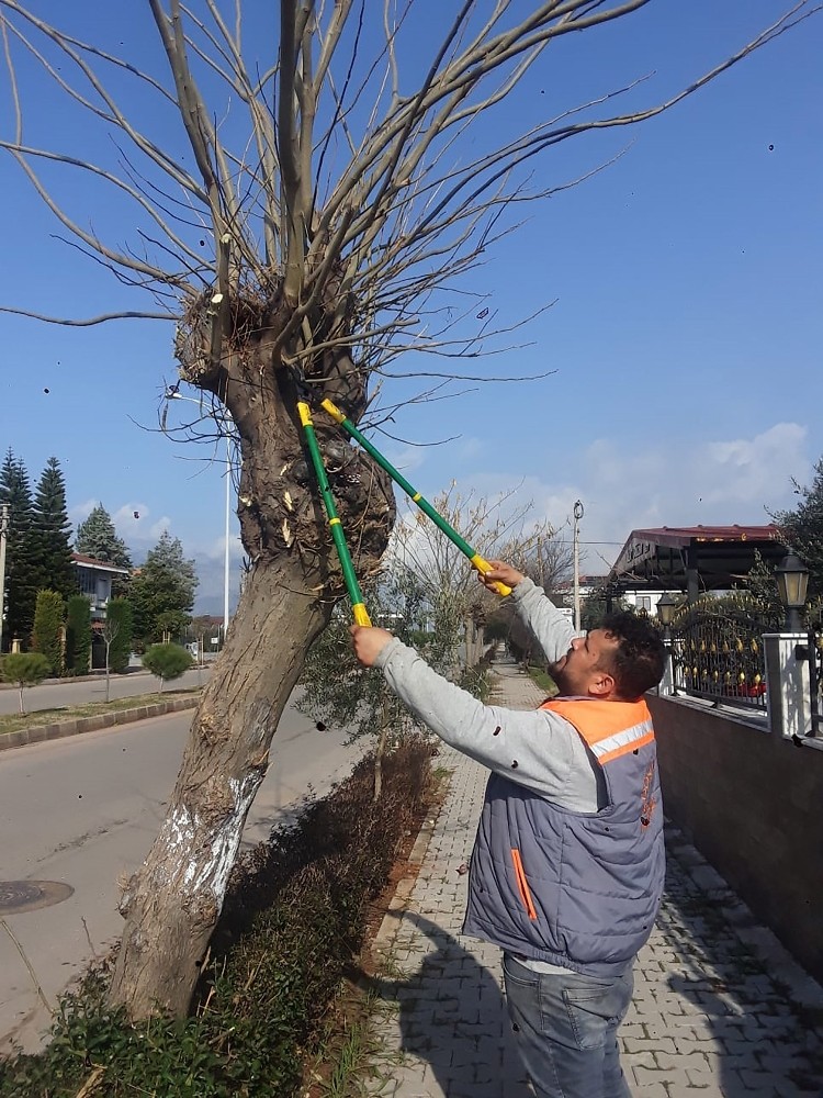 Döşemealtı Belediyesi Park ve Bahçeler Müdürlüğü ekipleri 120 parkta budama, bakım ve onarım gerçekleştirdi