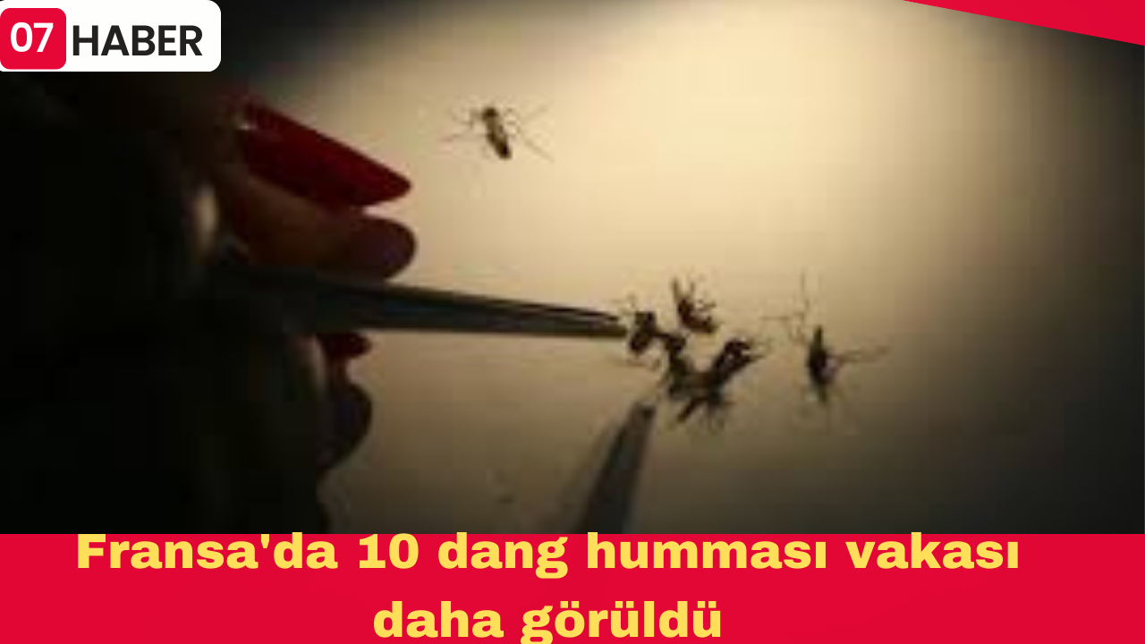 Fransa'da 10 dang humması vakası daha görüldü