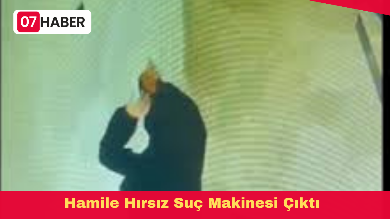 Hamile Hırsız Suç Makinesi Çıktı