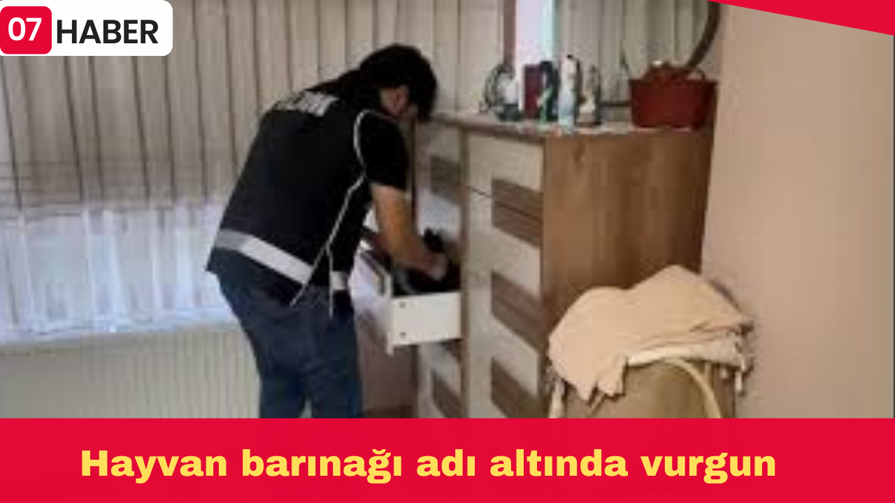 Hayvan barınağı adı altında vurgun