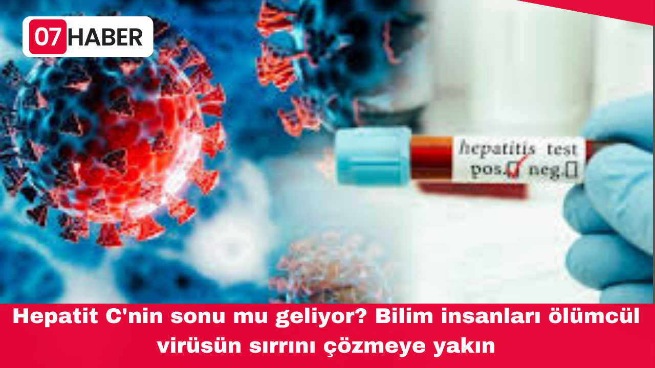 Hepatit C'nin sonu mu geliyor? Bilim insanları ölümcül virüsün sırrını çözmeye yakın