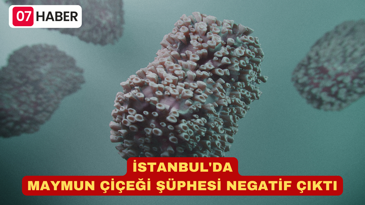 İSTANBUL'DA MAYMUN ÇİÇEĞİ ŞÜPHESİ NEGATİF ÇIKTI