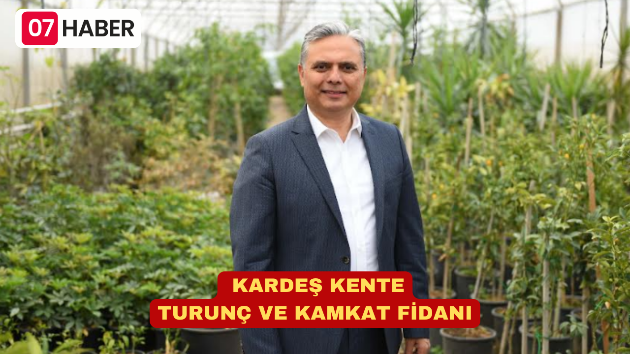 KARDEŞ KENTE TURUNÇ VE KAMKAT FİDANI