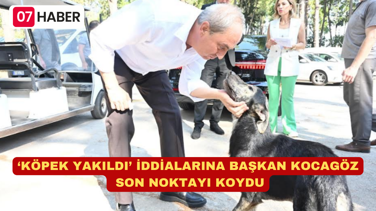 ‘KÖPEK YAKILDI’ İDDİALARINA BAŞKAN KOCAGÖZ SON NOKTAYI KOYDU