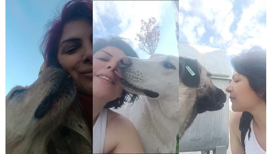 Köpeklere Kemik Vermenin Tehlikeleri: Meleğin Patileri Derneği Uyardı