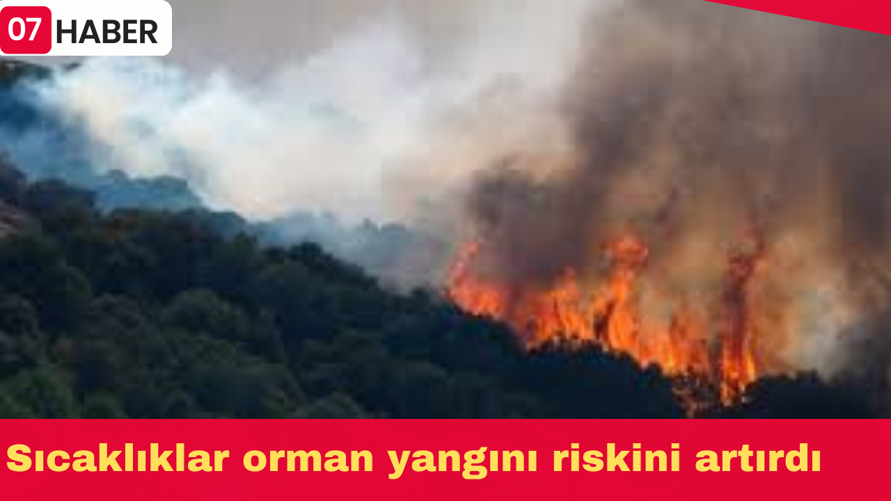 Sıcaklıklar orman yangını riskini artırdı