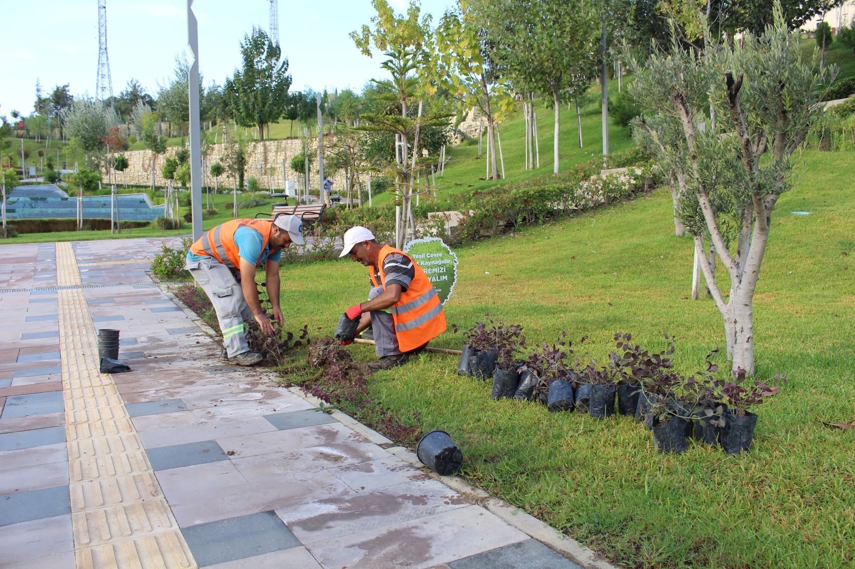 Türkbeleni Kent Parkı'nda sonbahar- kış bakımı