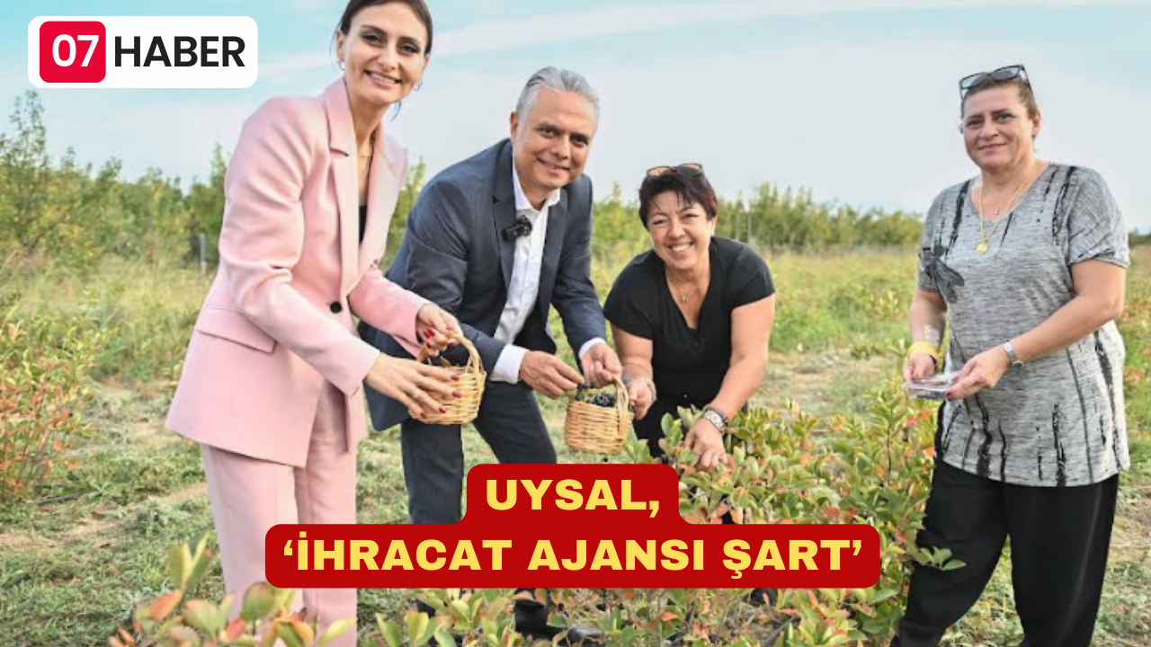 UYSAL, ‘İHRACAT AJANSI ŞART’