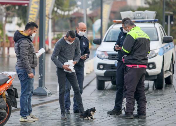 Yüzünden yaralı kediye kurtarma seferberliği