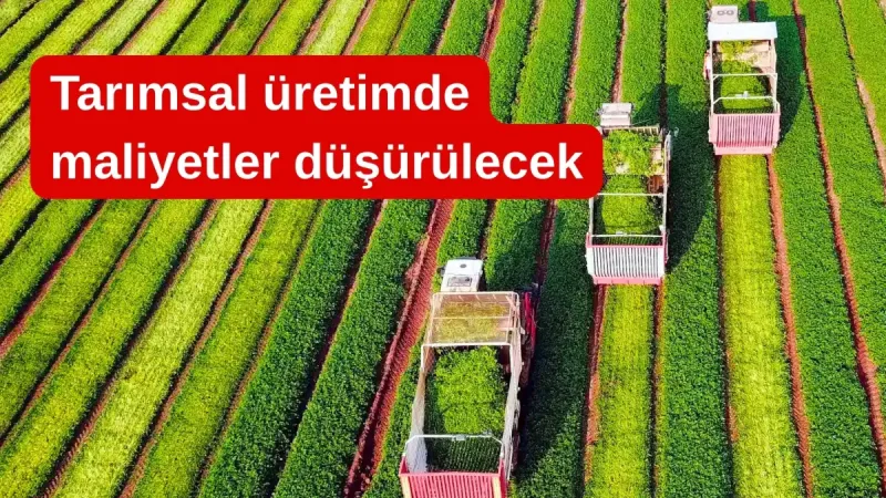 Gıda fiyatlarında yeni dönem: Tarımsal üretimde maliyetler düşürülecek